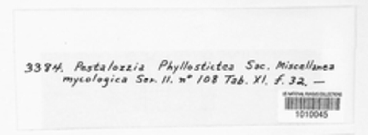 Pestalotia phyllostictea image